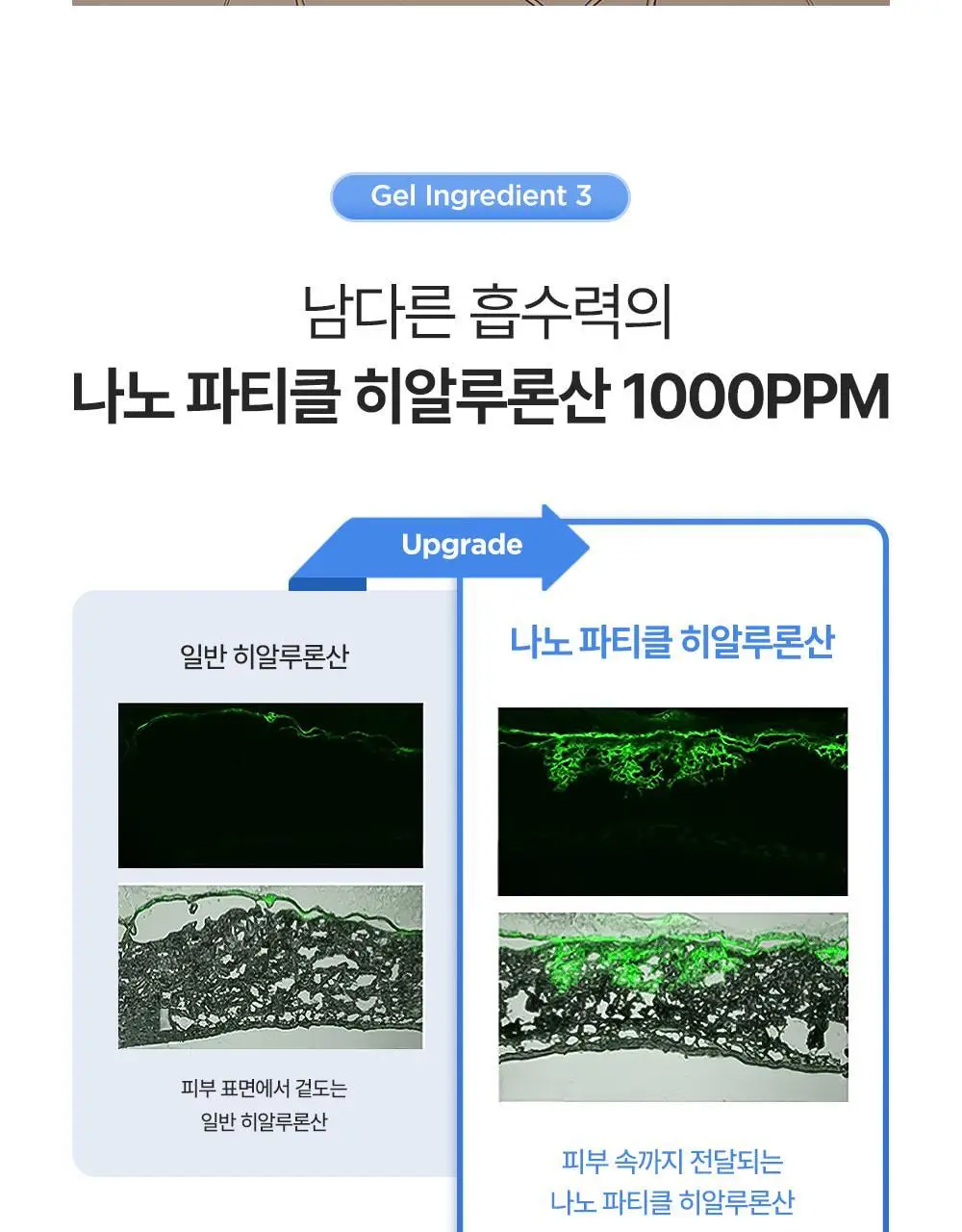 [60개 블루캡슐/수분볼륨 입체광] 피캄 PDRN 카페인 블루캡슐 60 크림 50ml 상세페이지 37